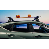 Hyundai Ski & snowboard carrier